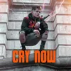 About Cry Now Song