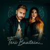 About Teri Baatein Song