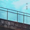 About 爱你是我身不由己 Song