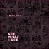 About See What I See Song