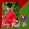 About Seng Usah Lai Song