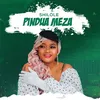 Pindua Meza