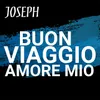 About Buon viaggio amore mio Song