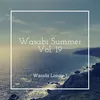 About Summer Time Song