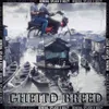 About Ghetto Breed Song