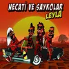 About Leyla Song