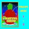 Tropi Mix Nativo, Pt. 2: Gozar, Cantar / Mandilón / Rabo Verde / Licuadora / Ritmo de Mi Cuba / Si Te Vas / Aguita de Coco / Cumbia Cienaguera / Los Carruseles