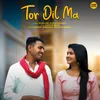 About Tor Dil Ma Song