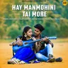 About Hay Manmohini Tai More Song