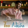 About Tera Nasha Song