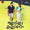 About Janika Kalyanam Song