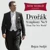 Symphony No. 9 in E Minor, Op. 95 "New World Symphony": II. Largo