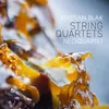 String Quartet No. 6 Water and Ships Yggdrasil Variations