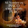 About Pisco Puro, Pisco Puerto, Pisco Peruano Song