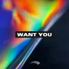 About Want You Song