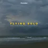 Flying Solo