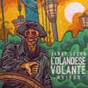 About L'Olandese Volante Song