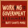 Working for the Government-2015 Mix