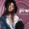 About עץ בשלכת Song