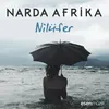 About Nilüfer Song