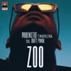About Zoo Song