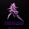 About Purple Haze Song