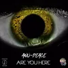 About Are You Here Song