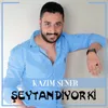 Cam Kırıkları