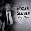 About Ez Xapandım Song