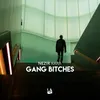 About Gang Bitches Song