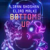 About Bottoms Up Song