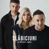 About Slăbiciuni Song