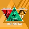 About Party Next Door Song