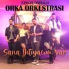 About Sana İhtiyacım Var Song