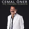 About Hiç Endişen Olmasın Song