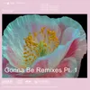 Gonna Be Zandr Remix