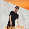 About Навстріч Song