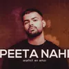 About Peeta Nahi Song