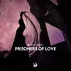 About Prisoners of Love Song