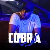 About Cobra Song