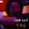 About Fe Baly Song