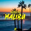 About Malibù Song