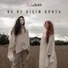 About Bu Ne Biçim Dünya Song