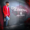 About Terrenal Song