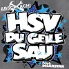 About HSV Du geile Sau Song