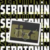 About Serotonin Song