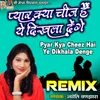 About Pyar Kya Cheez Hai Ye Dikhala Denge Remix Version Song