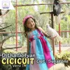 About Cicicuit Song