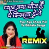 Pyar Kya Cheez Hai Ye Dikhala Denge Remix Version