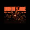 Burn In Flame